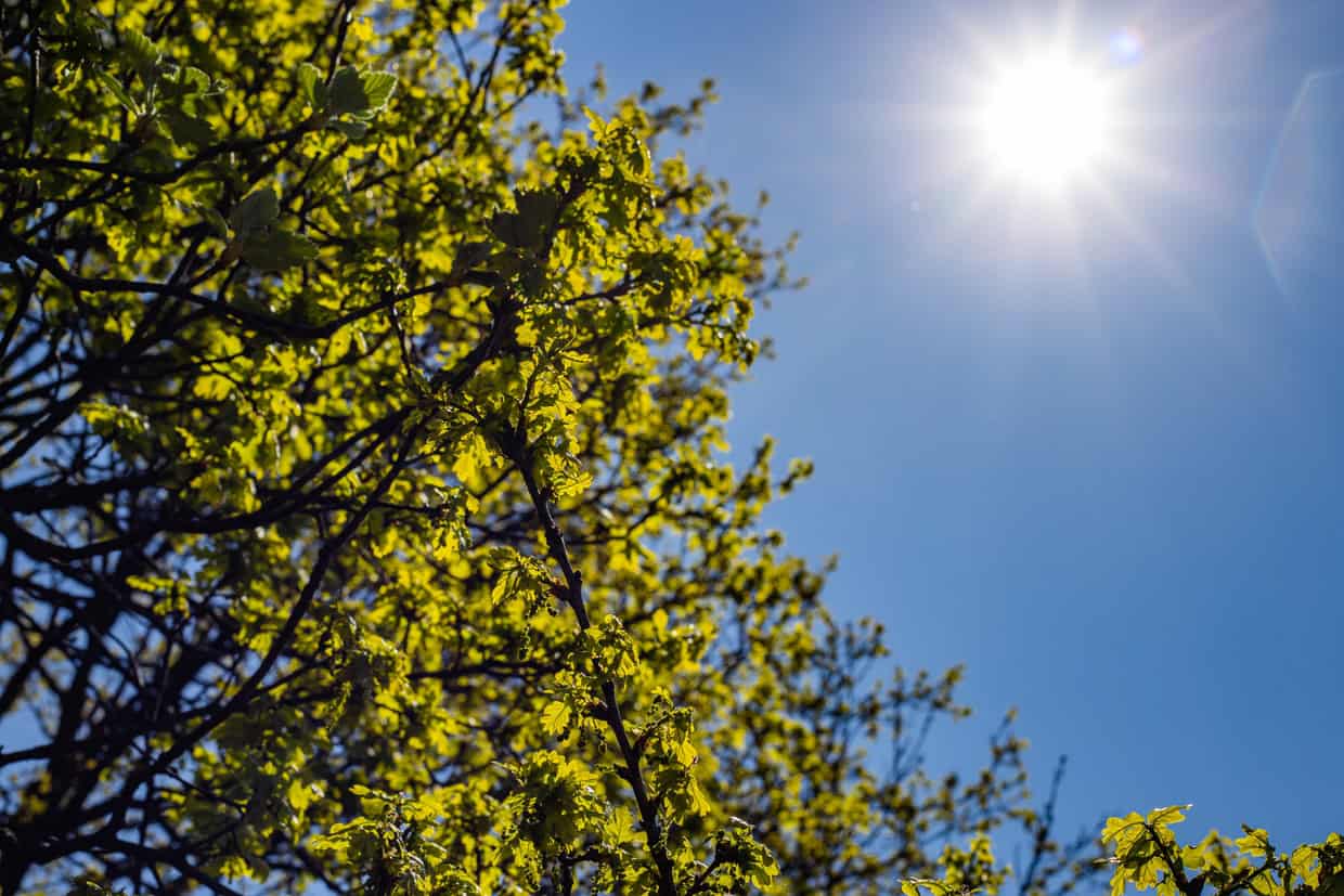 should you turn your boiler off in summer
